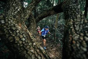 BIB: 
                            <button type="button" onclick="openModal(25392416)" class="btn btn-primary btn-sm float-right btn-popup" data-toggle="modal" data-target=".modal-high-quality">
                        <i class="fas fa-shopping-cart"></i> Add to Cart
                    </button>
                                            <button type="button" onclick="isThisMe(25392416, true)" class="btn btn-success btn-sm float-right btn-popup btn-isme hidden" data-toggle="tooltip" data-placement="bottom" title="นี่คือรูปของคุณใช่ไหม คลิกที่นี่เพื่อเอาเข้าอัลบั้ม">
                        <i class="fas fa-plus"></i> Add to album
                    </button>
                    <button type="button" onclick="isThisMe(25392416, false)" class="btn btn-warning btn-sm float-right btn-popup btn-isnotme hidden">
                        <i class="fas fa-ban"></i> Remove from album
                    </button>